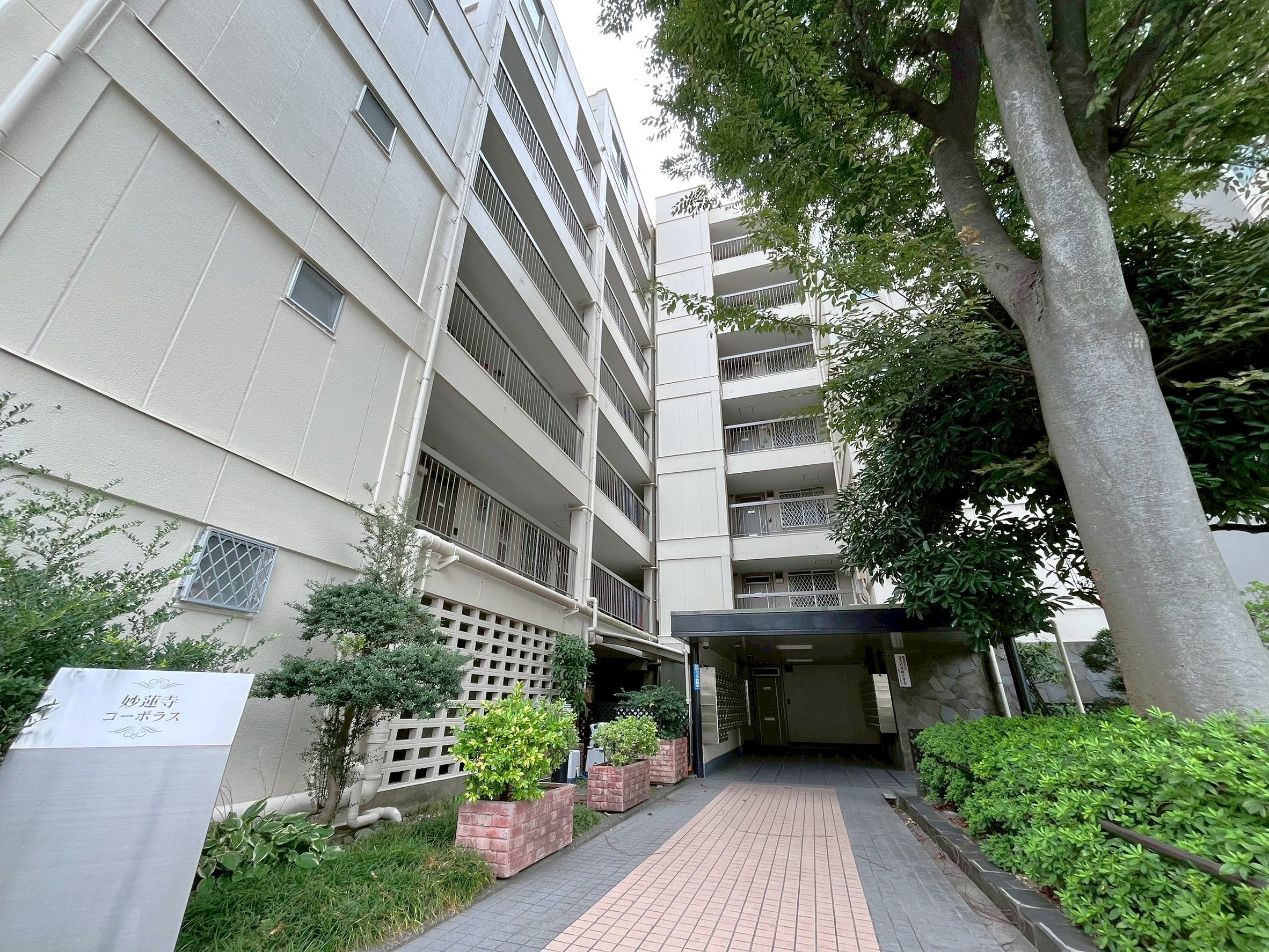 妙蓮寺コーポラス213