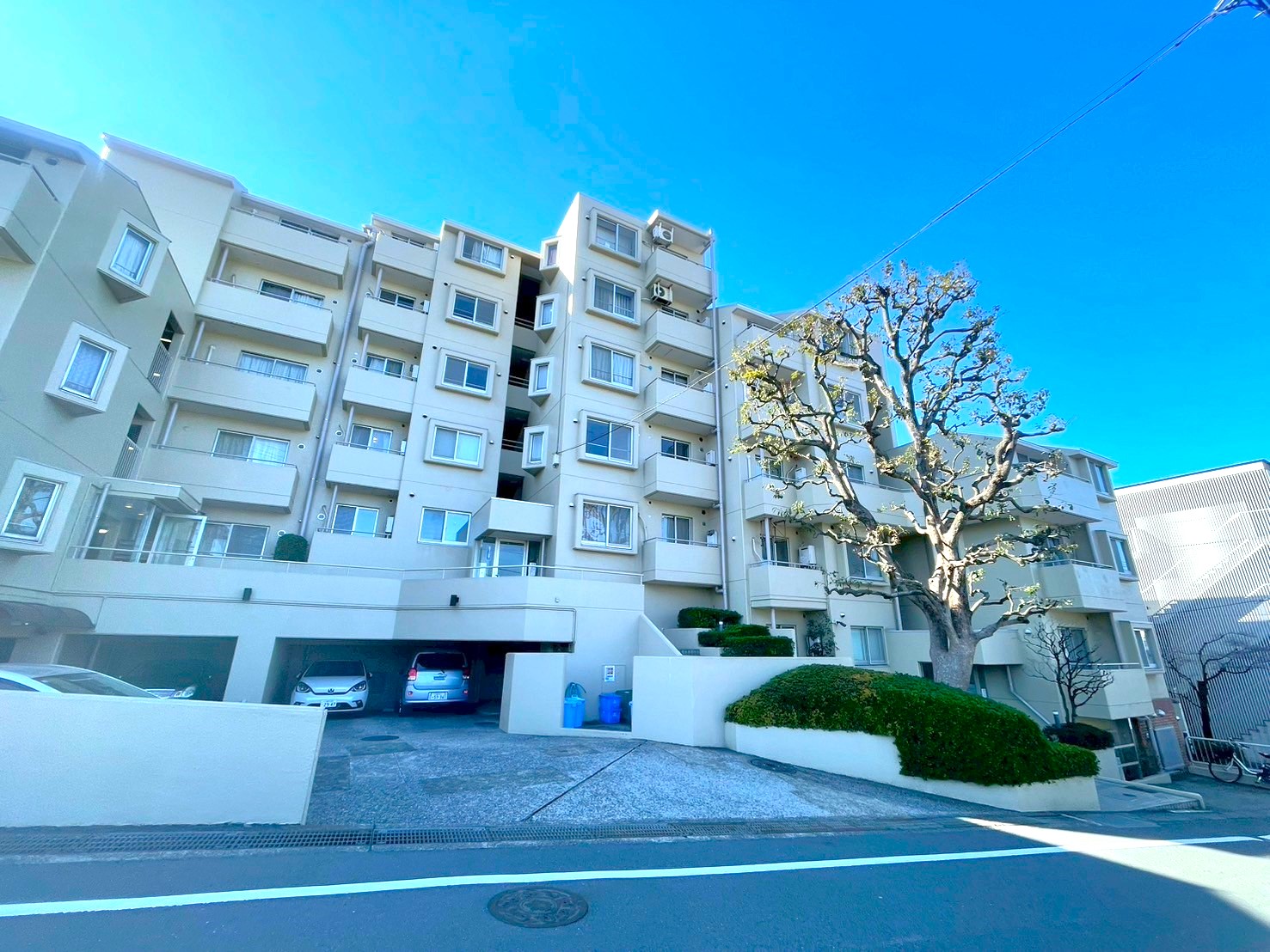 東急ドエルアルス宮崎台303